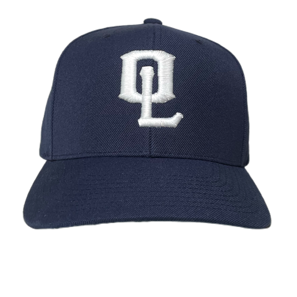 Offleash Navy SnapBack